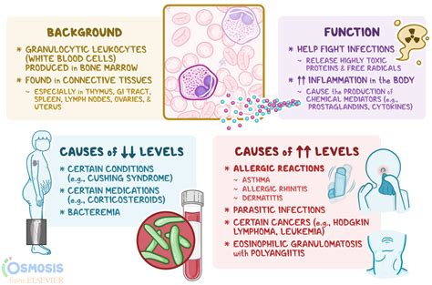 Low eosinophil counts may also be due to the time of day. . What does low eosinophils levels mean